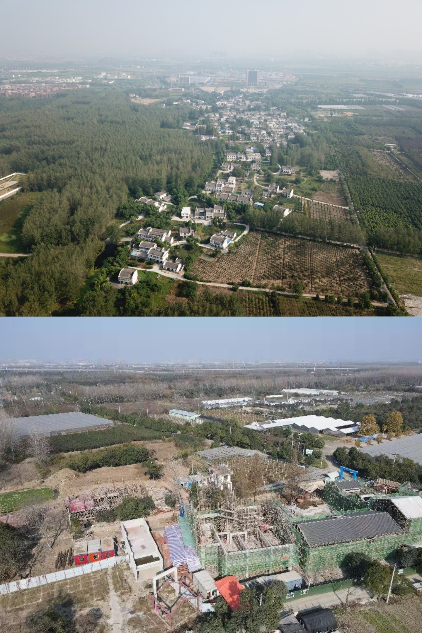 ׽ǰԱ